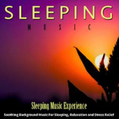 Sleeping Music Experience's cover