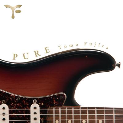 Pure (feat. Will Lee, Steve Gadd, Bernard Purdie & Steve Jordan)'s cover