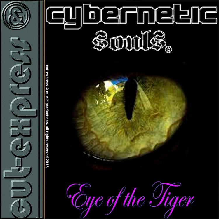 Cybernetic Souls's avatar image