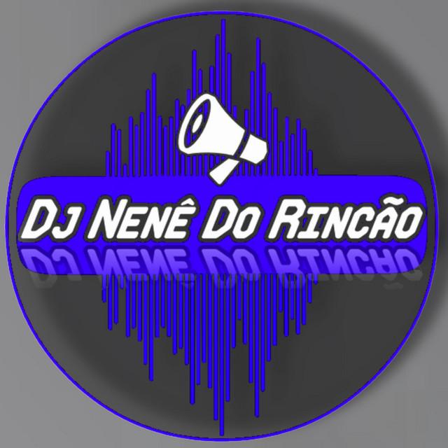 Dj Nenê Do Rincão's avatar image