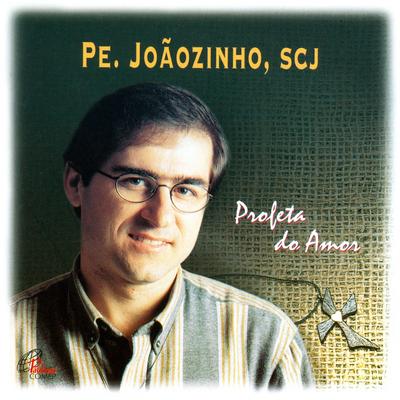 Levanta-Me, Senhor Jesus By Pe. Joãozinho SCJ's cover