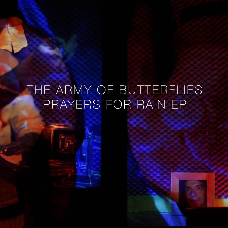 The Army of Butterflies's avatar image