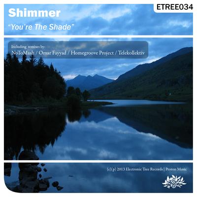 Shimmer (NL)'s cover