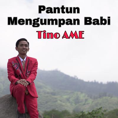 Pantun Mengumpan Babi's cover