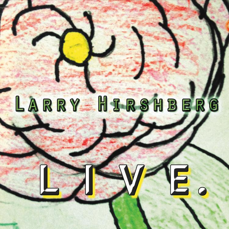 Larry Hirshberg's avatar image