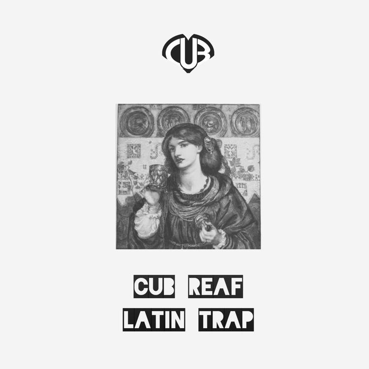 Cub Reaf's avatar image