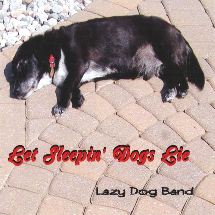 Lazy Dog Band's avatar image