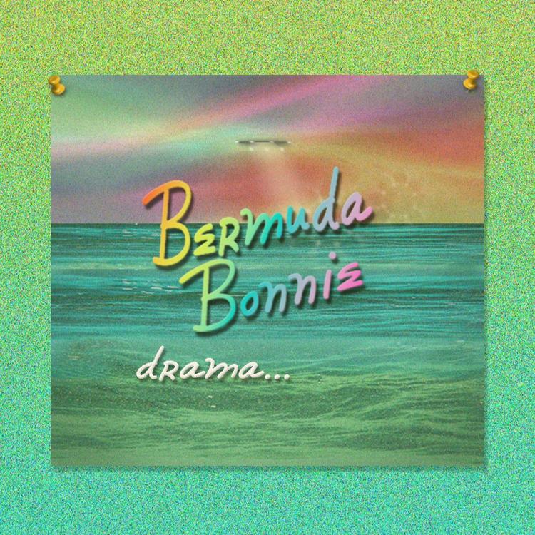 Bermuda Bonnie's avatar image