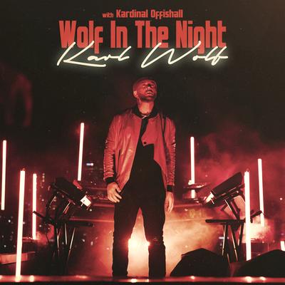 Wolf in the Night's cover