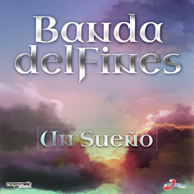 Banda Delfines's cover