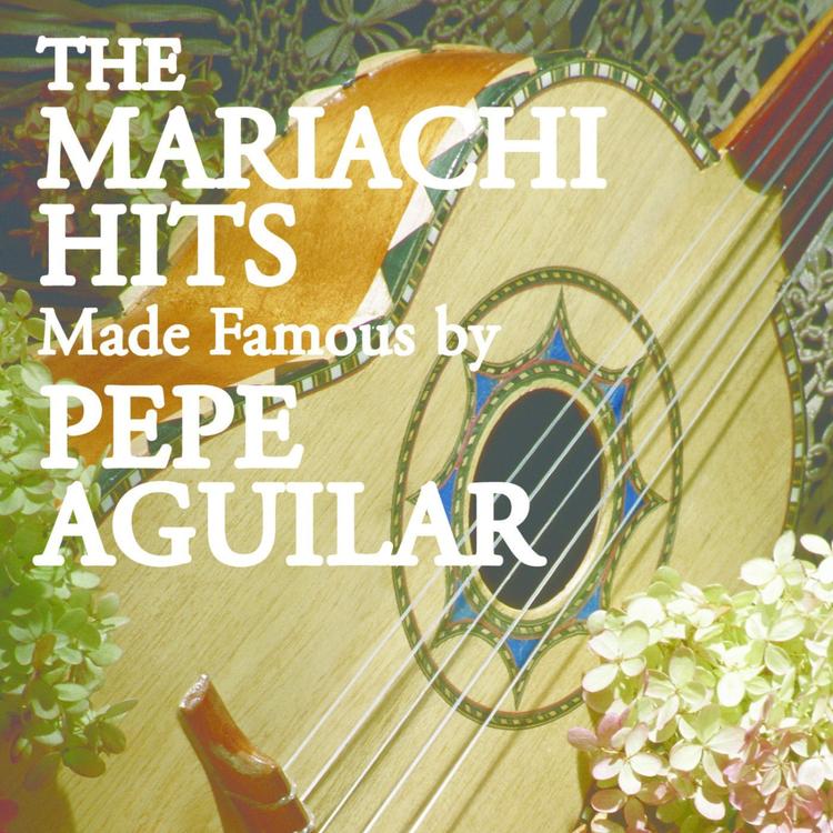 Mariachi Aguila Real's avatar image