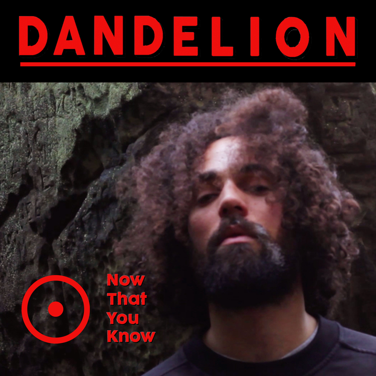 Dandelion's avatar image