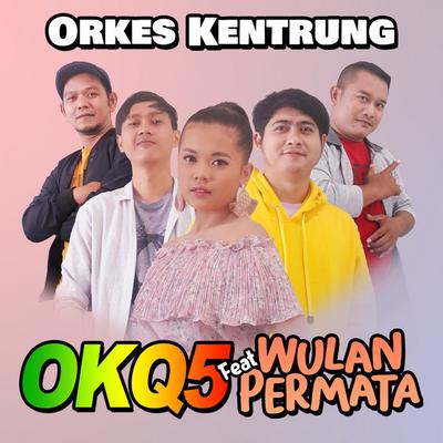 OKQ5's cover