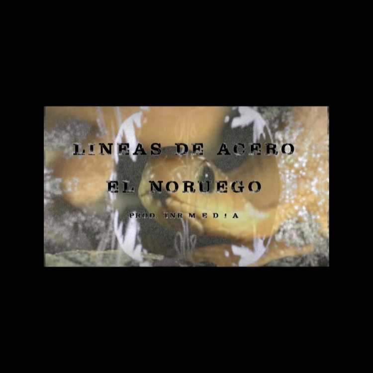 El Noruego's avatar image