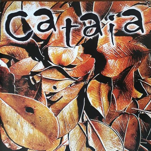 Cataia's cover
