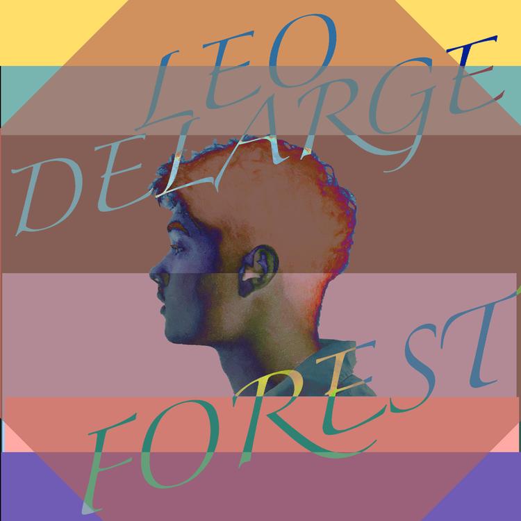 Leo Delarge's avatar image