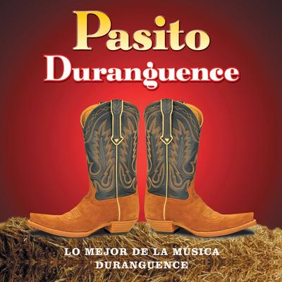 Lo Mejor de la Música Duranguense's cover