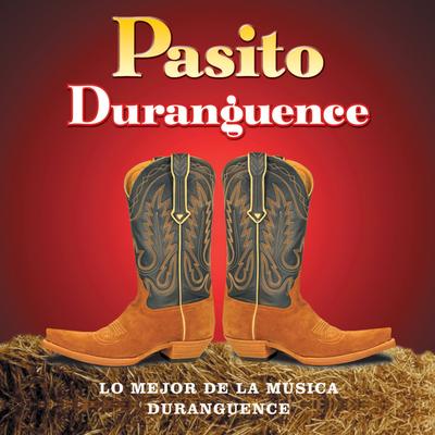 Soy de Durango's cover