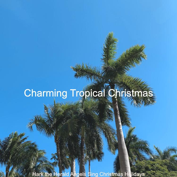 Charming Tropical Christmas's avatar image