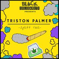 Triston Palmer's avatar cover