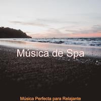 Musica De Spa's avatar cover