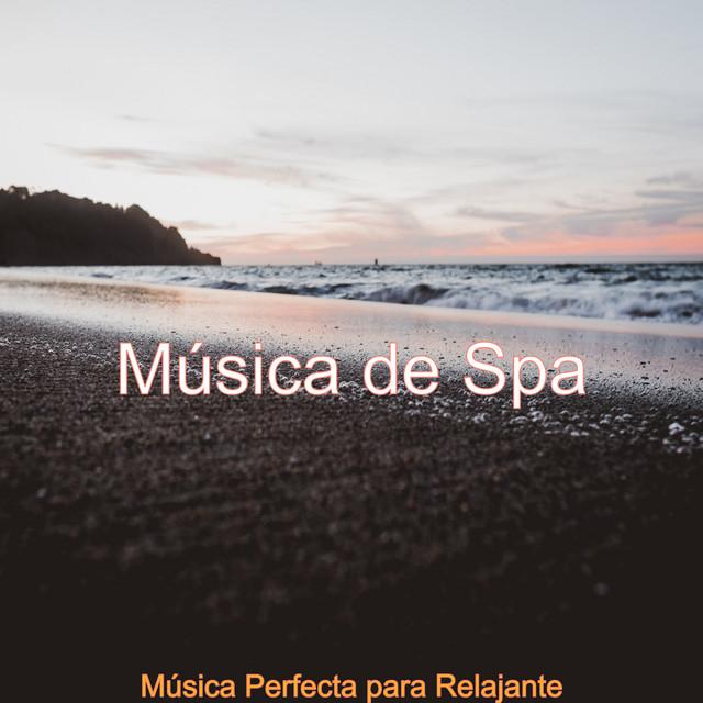 Musica De Spa's avatar image