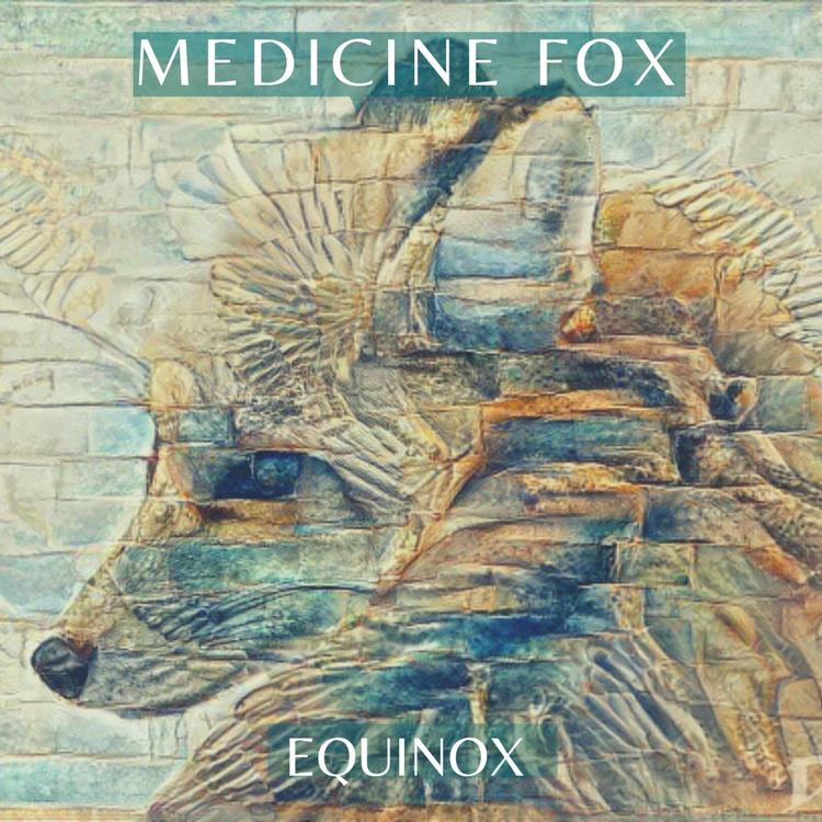 Medicine Fox's avatar image