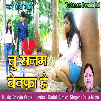 Tu Sanam Bewafa Hai's cover