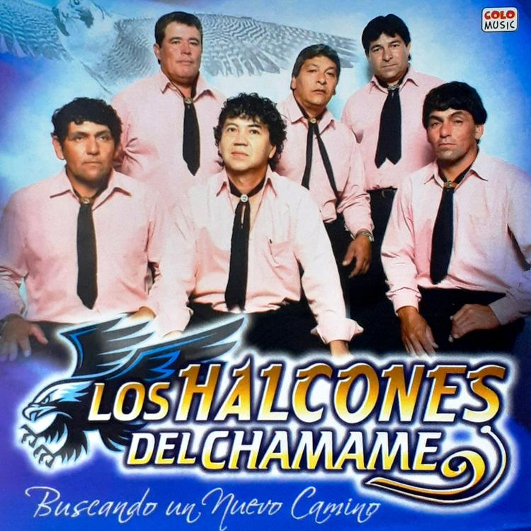 Los Halcones del Chamame's avatar image