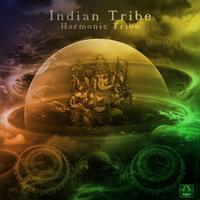 Indian Tribe's avatar cover