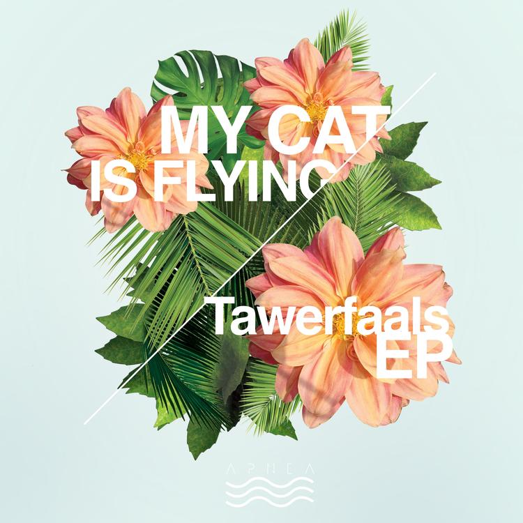 My Cat Is Flying's avatar image