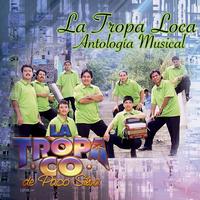 La Tropa Co. De Paco Silva's avatar cover