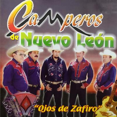 Camperos de Nuevo Leon's cover