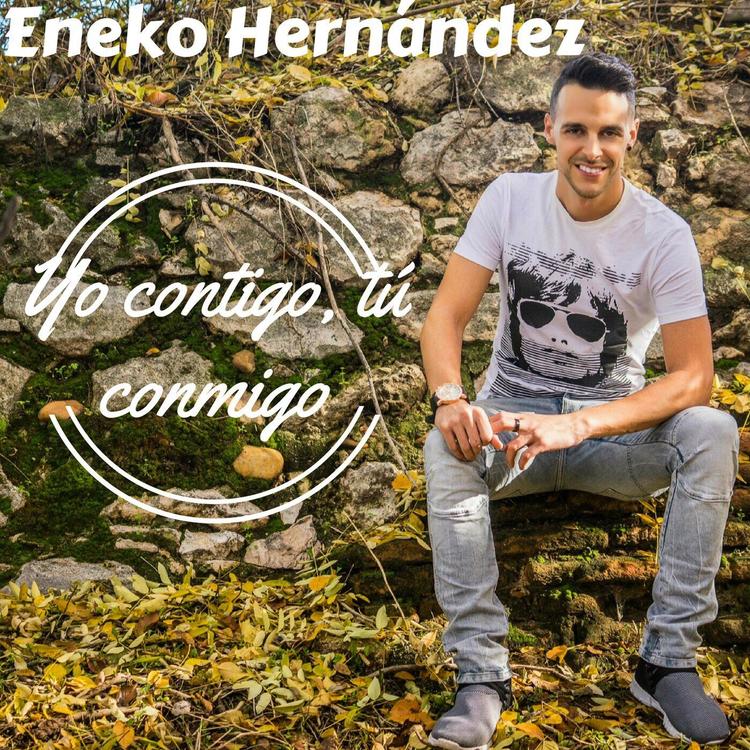 Eneko Hernández's avatar image