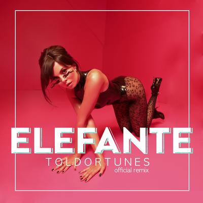 Elefante (ToldorTunes Remix) By NK, ToldorTunes's cover