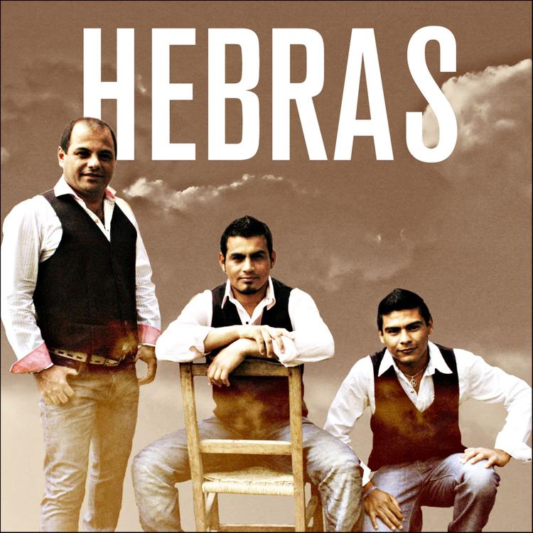 Hebras's avatar image