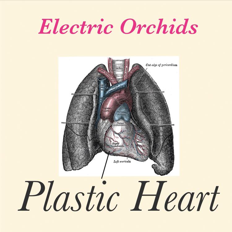 Electric Orchids's avatar image