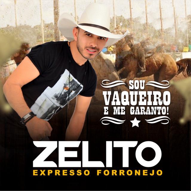 Zelito Expresso Forronejo's avatar image