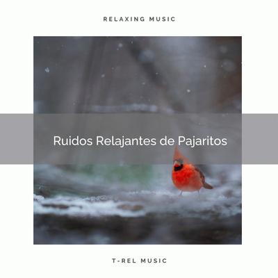 Sonidos De Aves's cover