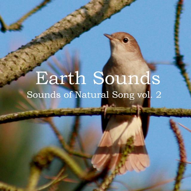 Earth Sounds's avatar image