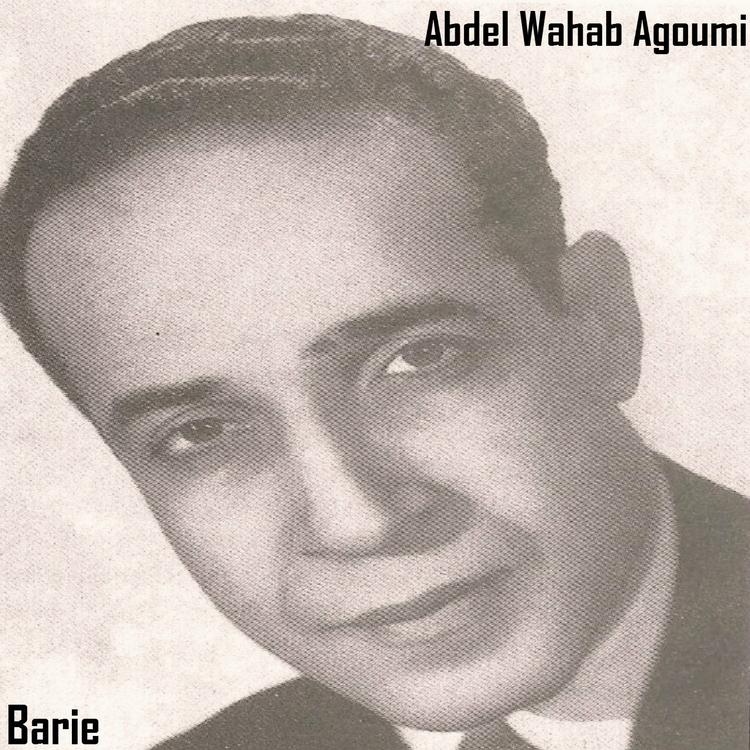 Abdel Wahab Agoumi's avatar image