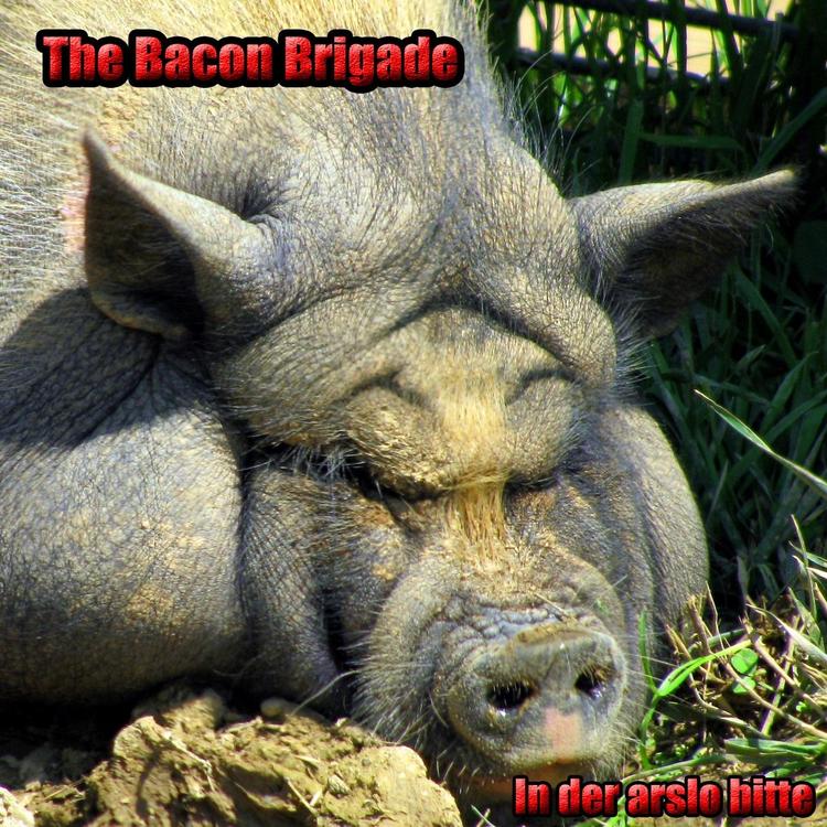 The Bacon Brigade's avatar image