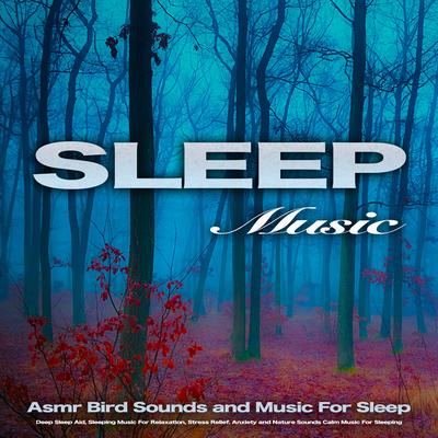 Anxiety and Nature Sounds Music By Sleeping Music, Deep Sleep Music Collective, Spa Music's cover