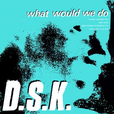 What Would We Do (Hurley's Extended Remix) By DSK, Steve 'Silk' Hurley's cover