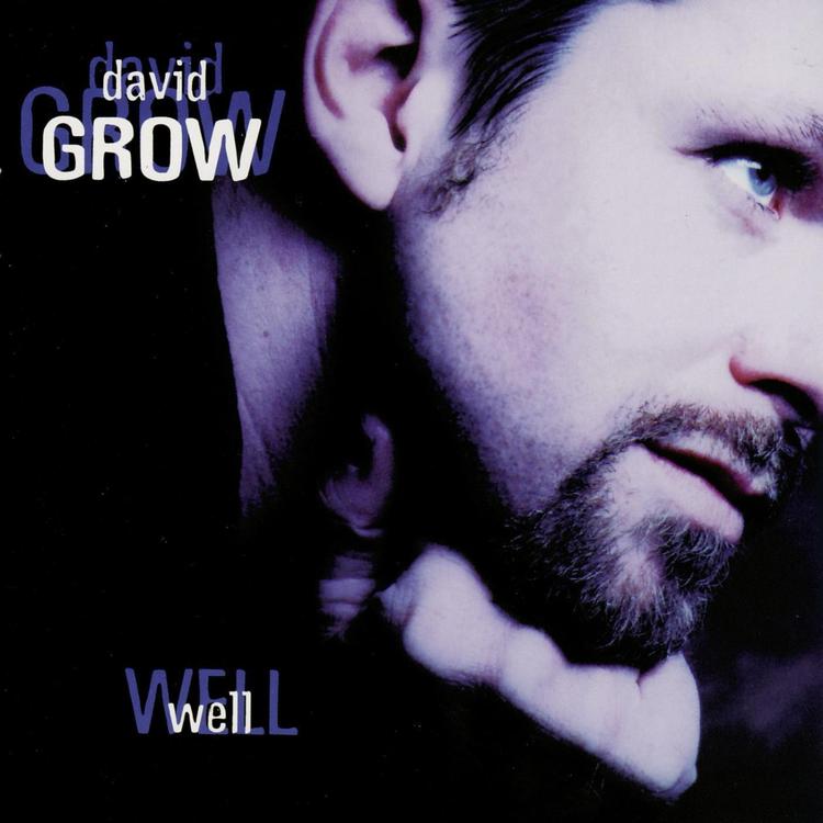 David Grow's avatar image
