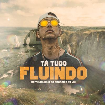 Tá Tudo Fluindo By Mc Thiaguinho Do Grajau, DJ WN's cover