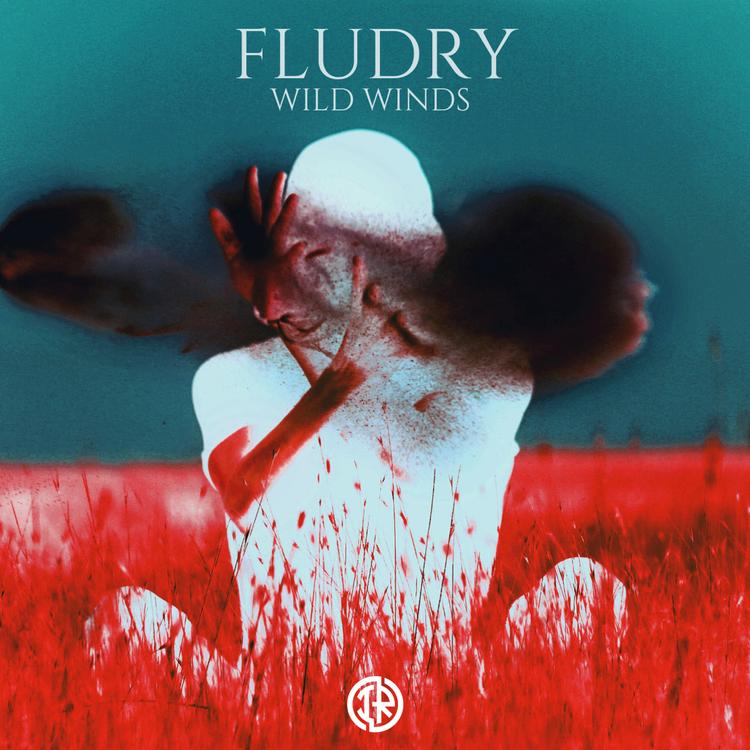 Fludry's avatar image