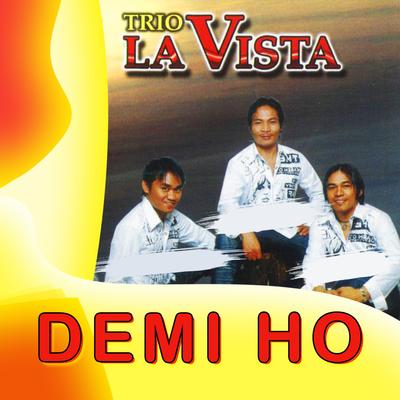 Demi Ho's cover