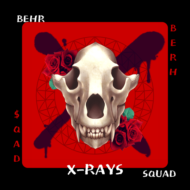 Behr $quad's avatar image