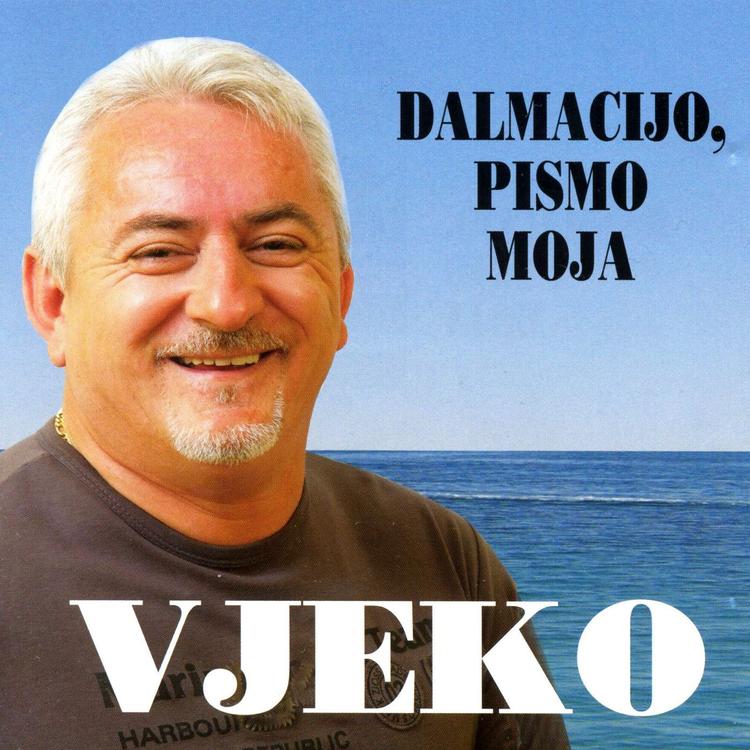 Slavko-Vjeko Blažinović's avatar image